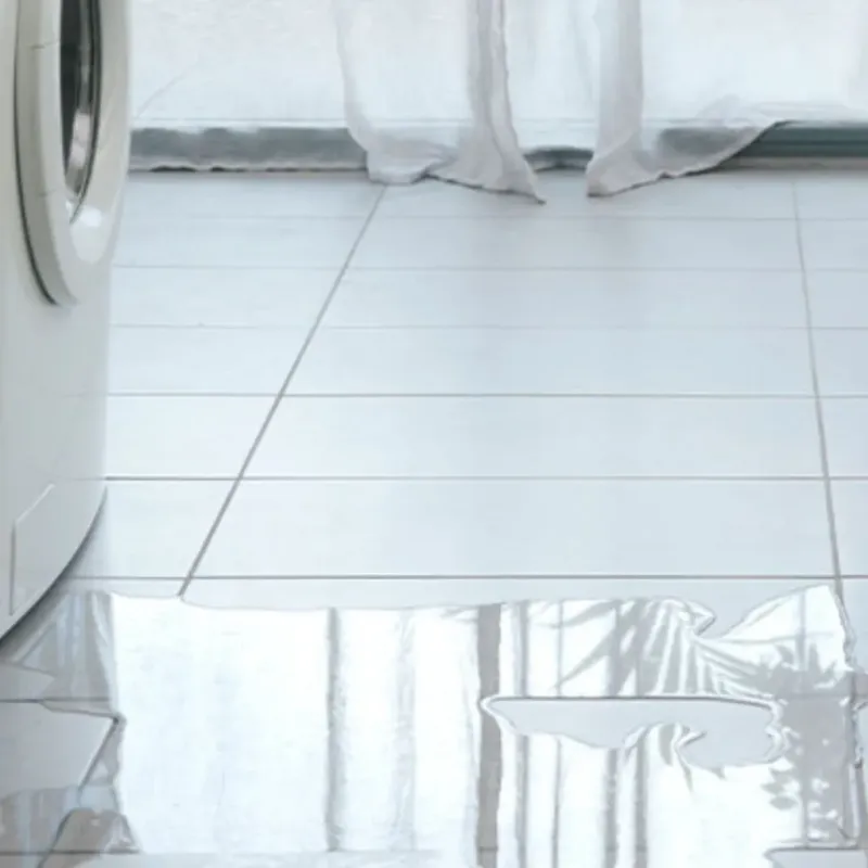 Appliance Leak Cleanup in Madison, VA