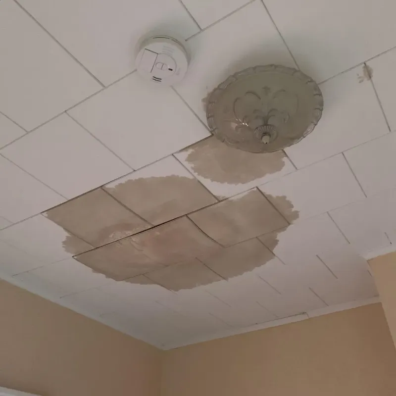 Ceiling Water Damage Repair in Madison, VA