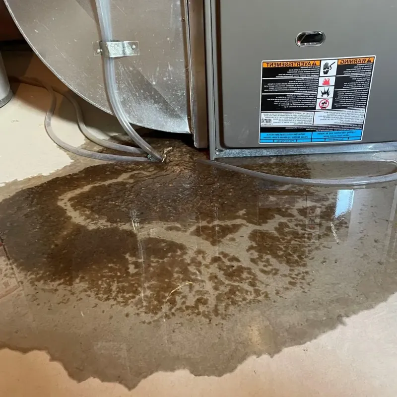 Pipe Burst and Leak Restoration in Madison, VA