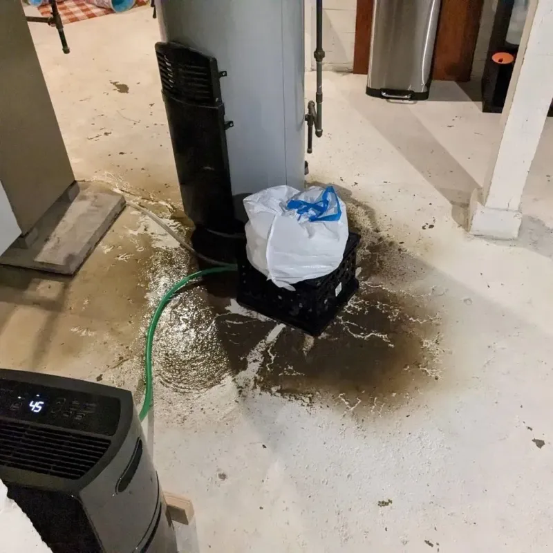 Sewage Backup Cleanup Service in Madison, VA
